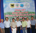 PHÂN BÓN ĐẦU TRÂU TE + AGROTAIN LÚA  MANG LẠI HIỆU QUẢ CHO NÔNG DÂN TRONG MÔ HÌNH LIÊN  KẾT 4 NHÀ TẠI TÂY NINH