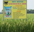 Phân đạm hạt vàng Đầu Trâu 46A+ Tiết kiệm nhất mà năng suất cao nhất