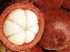 Giá nhiều mặt hàng đang tăng cao (10/7/2006)
