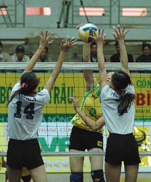 ảnh: Bình Điền